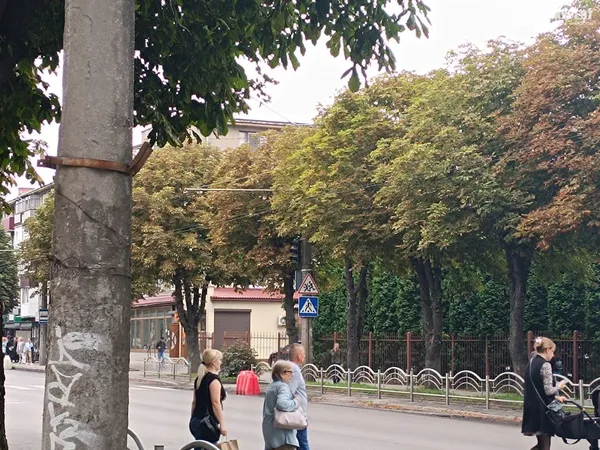 Приречені на болячки: у Луцьку нічого не роблять з каштанами