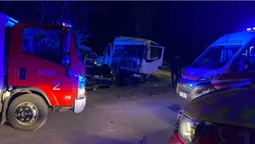 У Луцьку на Львівській автобус влетів у дерево (фото)