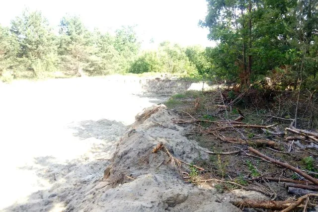 Самовільно добували пісок та різали дерева: на Волині виявили екопорушників (фото, відео)