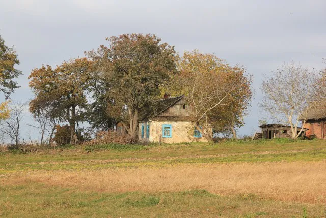 Містично-туманна Волинь: показали таємничі закутки регіону (фото)