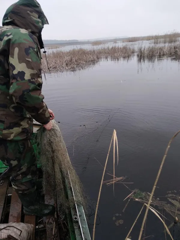 На Волині екологи витягнули з водойм понад півтори тисячі рибальських сіток