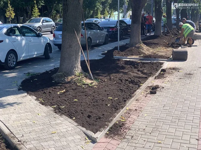 У Луцьку на проспекті Волі продовжують садити траву і дерева (фото)