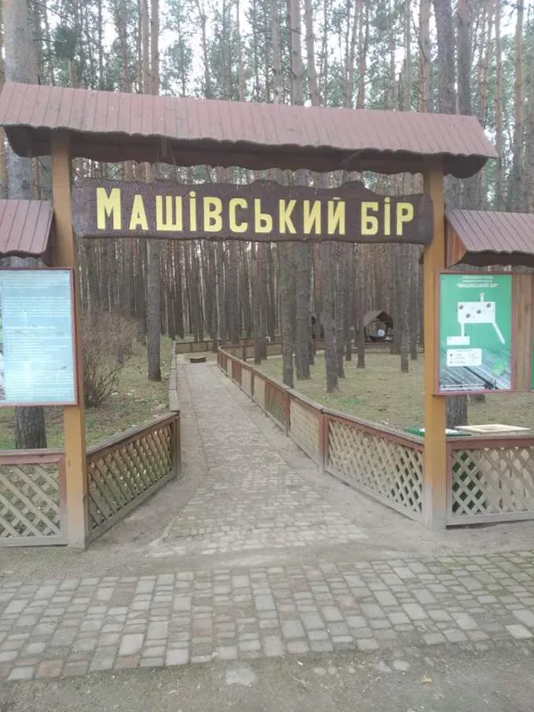 У волинських лісах дезінфікують зони відпочинку (фото)