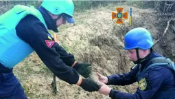Снаряд і міни: на Волині сапери знешкодили боєприпаси часів минулої війни (фото)