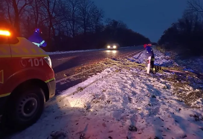 У Луцькому районі буревій повалив дерево на дорогу (фото)