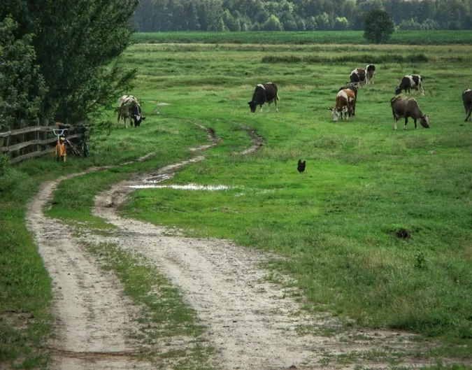 На Волині село повністю пішло під воду і відродилося на пагорбі