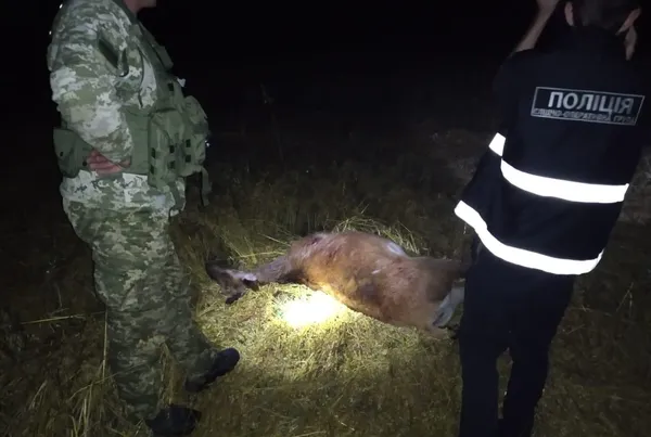 Закривавлений, мчав на квадроциклі: на Волині чоловіка запідозрили у вбивстві оленя (фото, відео)