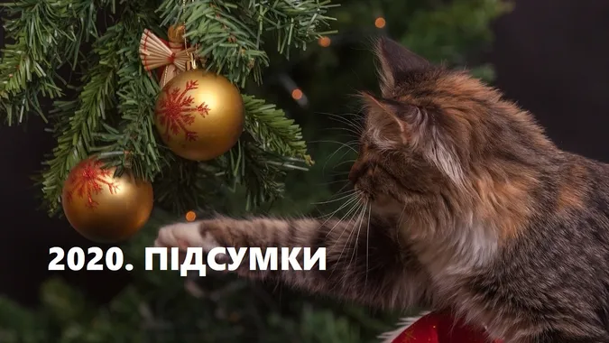 «Добре, що вижили»: волиняни поділилися підсумками бентежного 2020-го (фото)