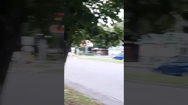 «Екотранспорт»: чоловік катався возом на проспекті в Луцьку (відео)