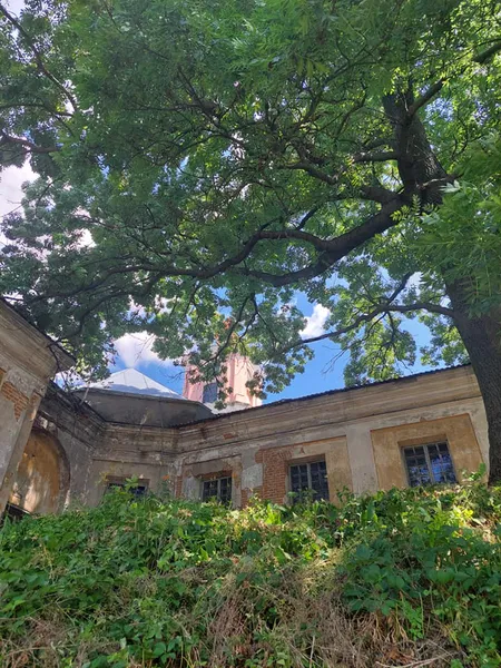 На території Олицького замку вперше за багато років провели фестиваль (фото)