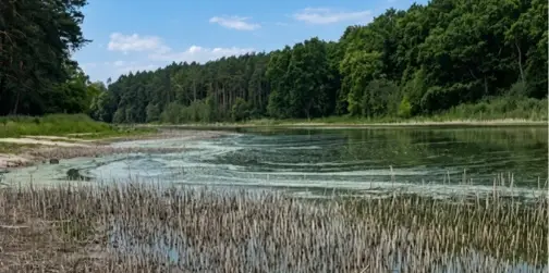 «Земля буде горіти»: краєзнавець пояснив, чому на Волині зникають озера та пересихають джерела (фото)