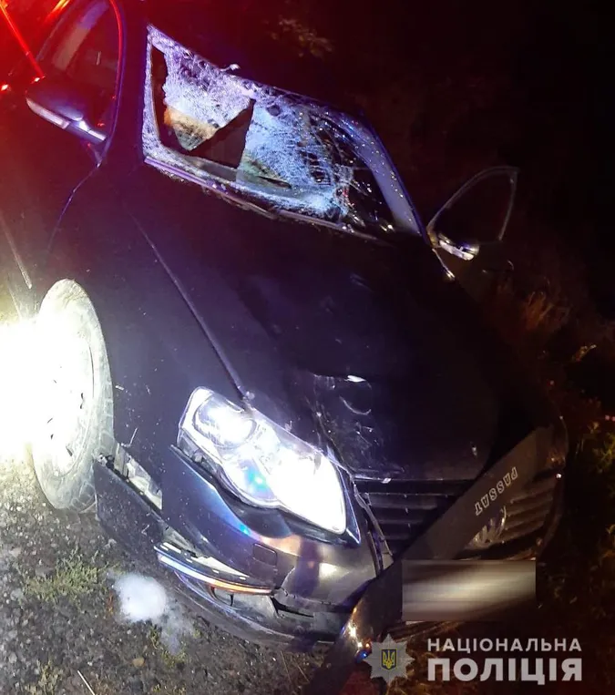 На Волині під колесами авто загинув чоловік (відео)