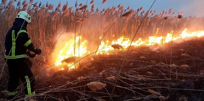На Волині невідомі спалили майже два гектари сухої трави (фото)