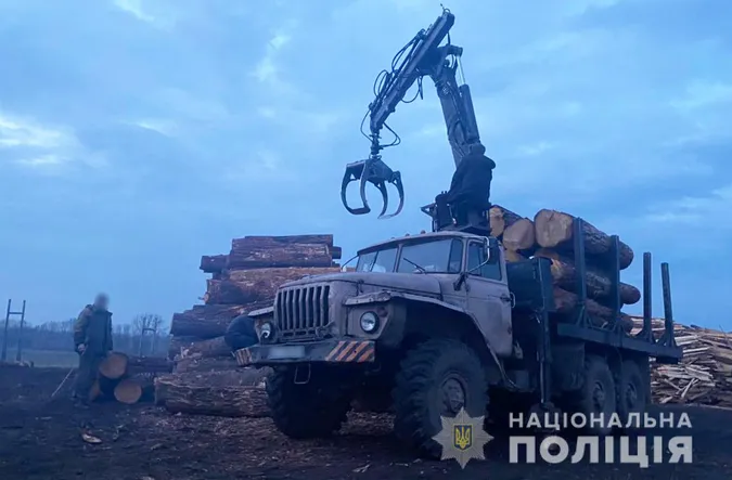 На Волині накрили деревообробне підприємство: відомо яке