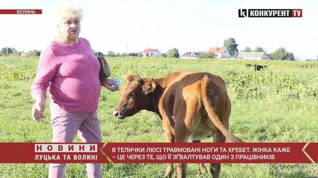 Рабство та зоофілія під Луцьком: резонансна справа – на фінішній прямій (відео)