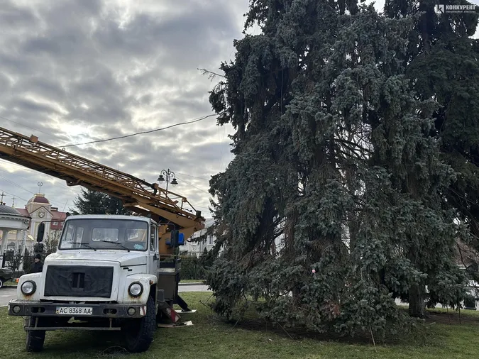 Головні ялинки Луцька вже почали прикрашати (фото)
