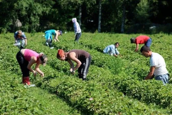 Польща втрачає працівників з України