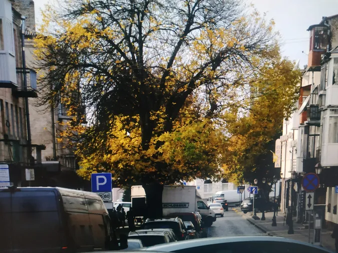 «Теплі» світлини: який він жовтогарячий осінній Луцьк