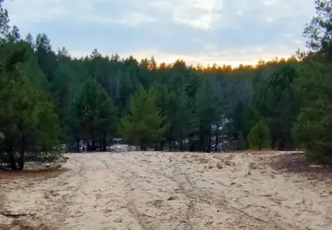 На Волині є реліктові дюни віком до 17 тисяч років: що це за місце (фото)
