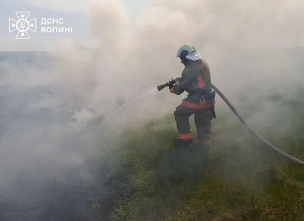 У Старій Вижві через необережне поводження з вогнем загорілося сміття (фото)