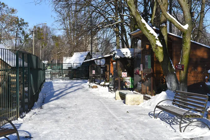 Як зустрічають сніг мешканці Луцького зоопарку (фото)