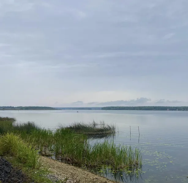 Атмосферні фото: показали осінні краєвиди Хрінників