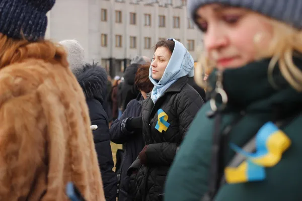 Прапори та сотні людей: як у Луцьку святкували День єднання (фото, відео)