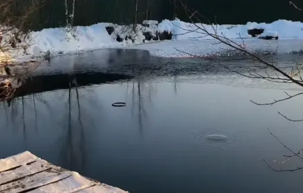 Вода є, але не бурлить: що відбувається на унікальних Оконських джерелах на Волині (фото, відео)