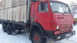 На Волині зупинили дві вантажівки з деревиною: документи – «липові» (фото)
