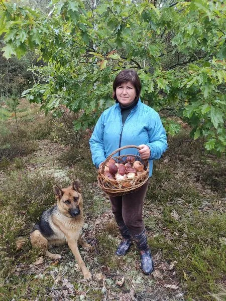 Волинянка в День грибників зачарувала мережу своїм «уловом» (фото)