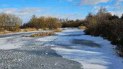 Перехоплює подих від краси: у мережі показали фото луцьких ставків (фото)