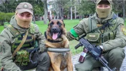 «Вивчила команди українською»: до Нацгвардії приєдналась вівчарка, яка служила у Росгвардії (фото)