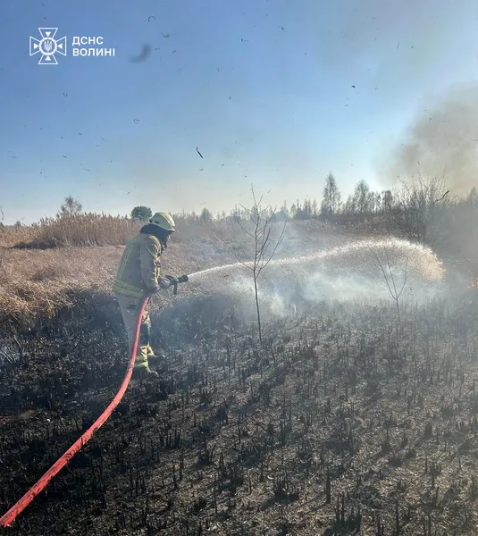 Палії не зупиняються: на Волині за добу сталося 12 пожеж (фото)