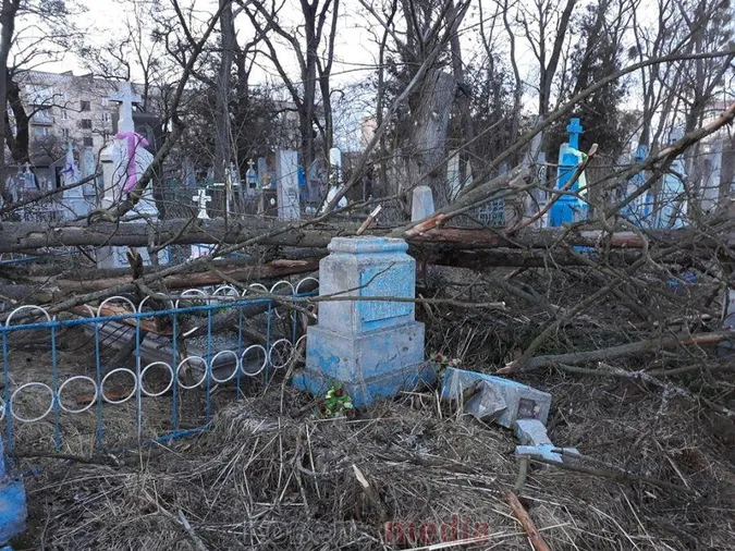 Пам’ятники розбиті: у Ковелі на кладовищі вітер повиривав дерева з корінням (фото, відео)