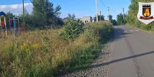 Зелені – по пояс: у Луцьку дитячий майданчик заріс травою (фото)