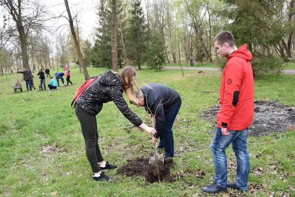 У центральному парку Луцька посадили нові дерева (фото)