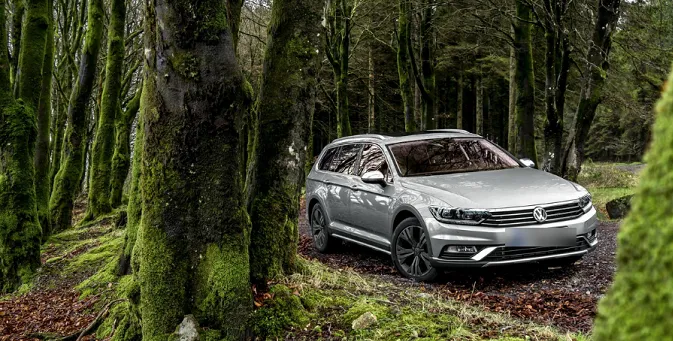 П'яний волинянин натрапив у лісі на Volkswagen і викрав його