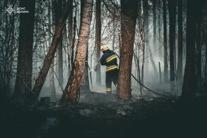 У Луцькому районі до ночі гасили лісову пожежу (фото)