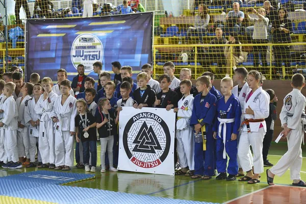 Луцькі борці здобули перемогу у Відкритому чемпіонаті із бразильського джиу-джитсу (фото)
