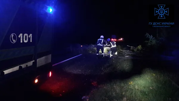 На Волині сильний вітер повалив на дорогу дерево (фото)