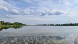 Неймовірна краса волинської річки (фото)