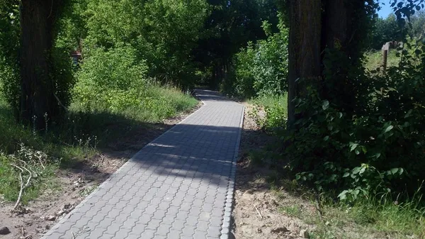 Вулиці Луцька облаштували пішохідними доріжками (фото)