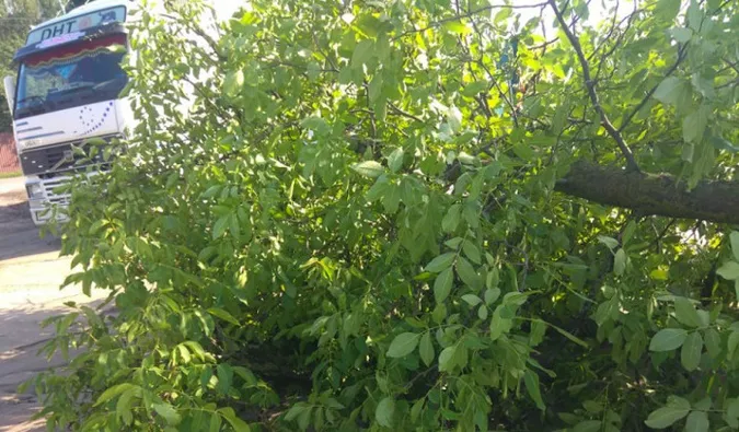 На Волині буревій наробив лиха (фото, відео)