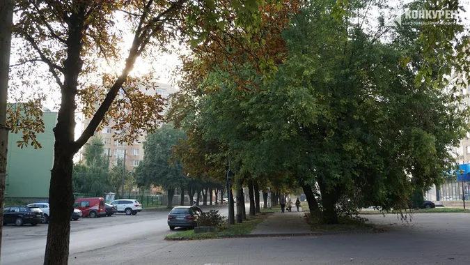 Квіти, песики, каштани: Дубнівська у Луцьку восени (фото)