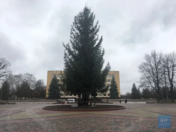Дубль №2: у Нововолинську врешті встановили новорічну ялинку (фото)