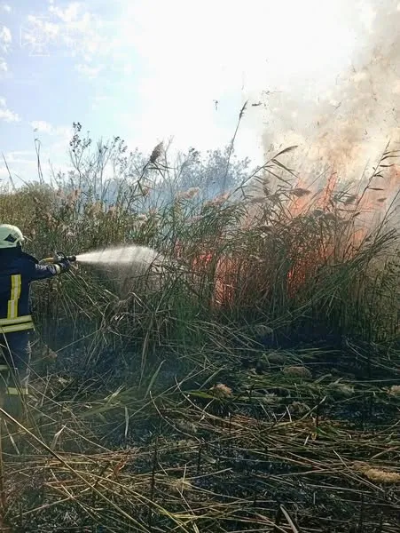 На Ковельщині через пожежу трави згоріла господарська споруда (фото)