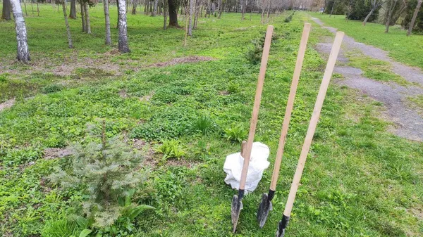 У  луцькому парку висадили квіти до 35-ої річниці  аварії на ЧАЕС