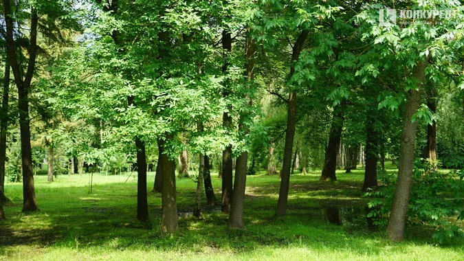 Заквітчаний луцький парк перед грозою (фото)