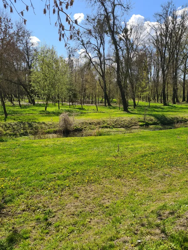 Весняний Луцьк: показали фото заквітчаного міста
