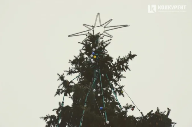 Рішення щодо видалення ялинок в центрі Луцька не було
